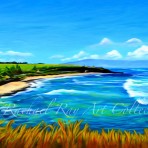 Hoʻokipa Noon – North Shore Maui